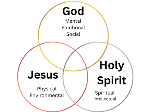 7 Pillars of Biblical Wellness